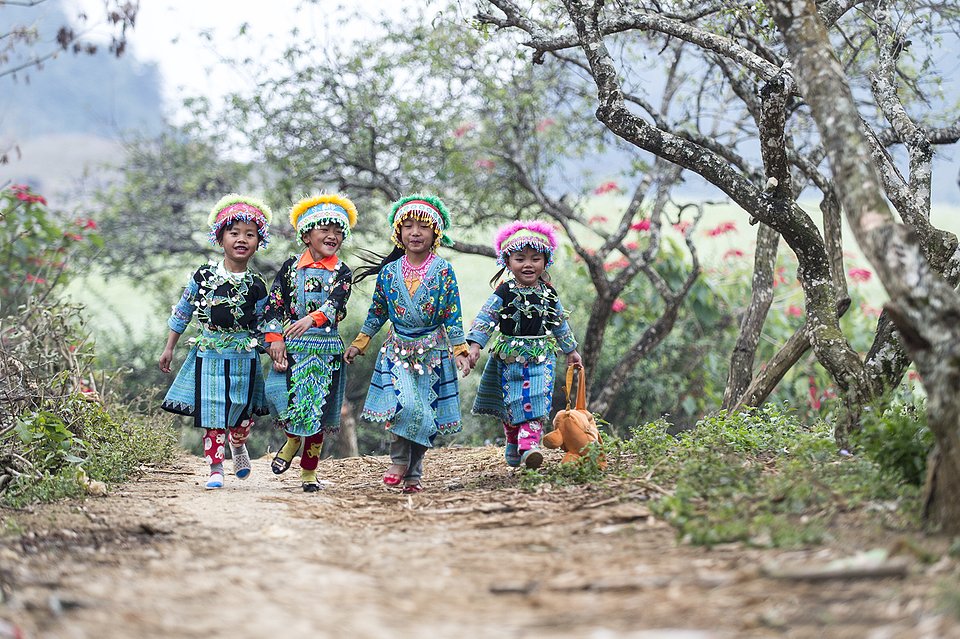 Location: Moc Chau, Vietnam