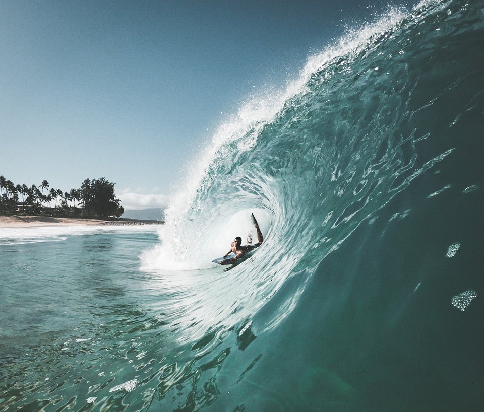 Location: North Shore Oahu, Hawaii, USA