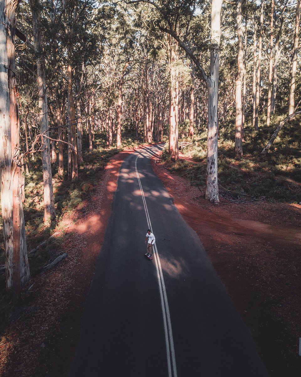 Location: Boranup Forest, Margaret River, Western Australia