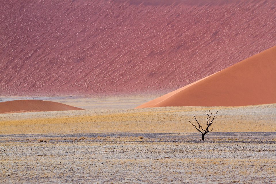 Location: Namib Desert, Namibia