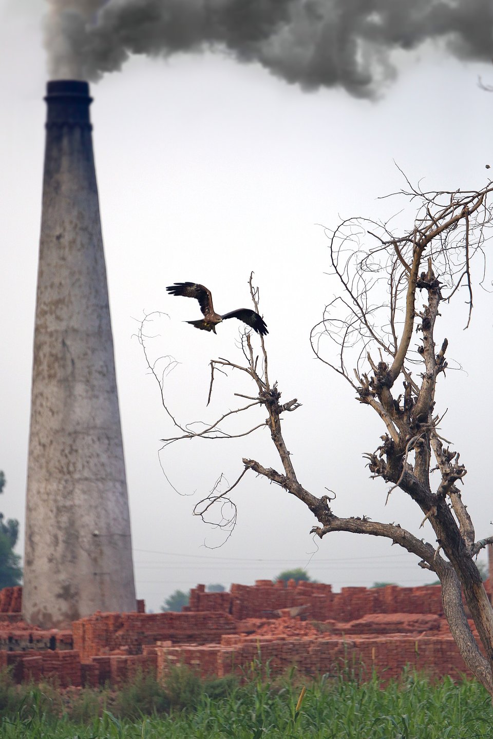 Location: Gujrat, Pakistan