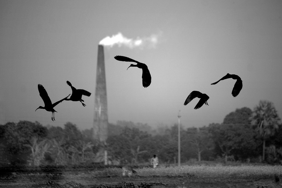 Location: Rajshahi, Bangladesh