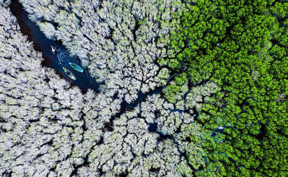 Location: Quang Ngai province, Vietnam