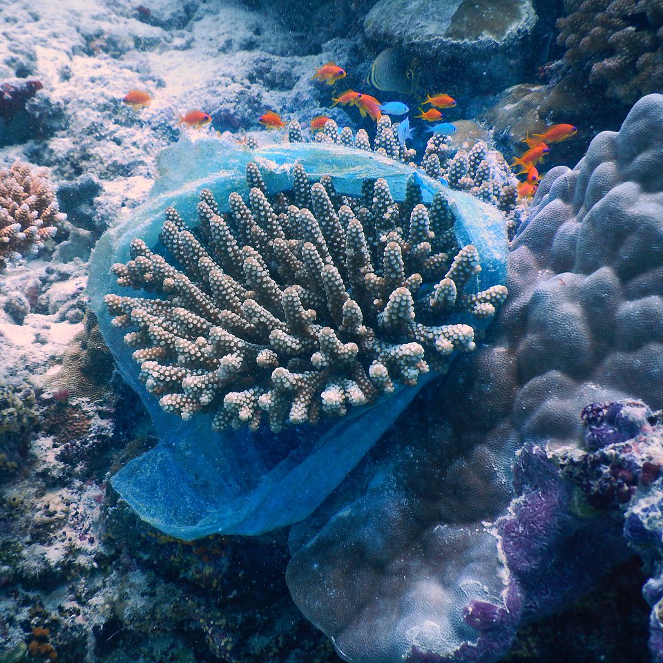 Location: Maldives
