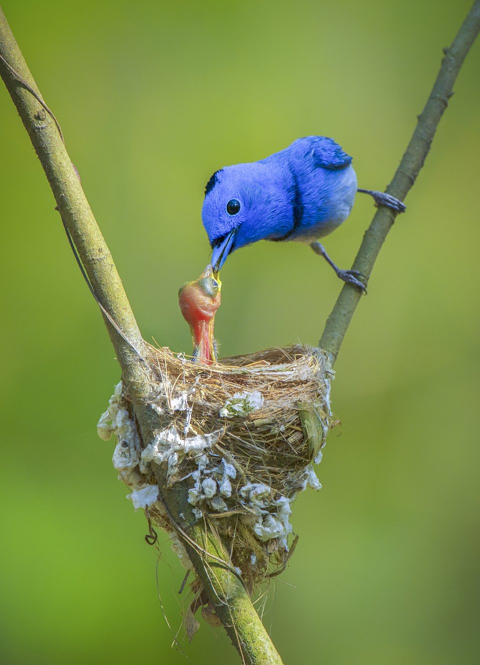 Location: Bogura, Bangladesh