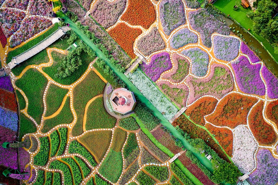 Location: Ho Tay flower valley, Tay Ho district, Hanoi city, Vietnam
