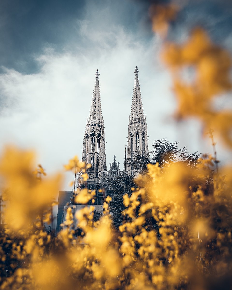 Location: Votivkirche, Vienna, Austria