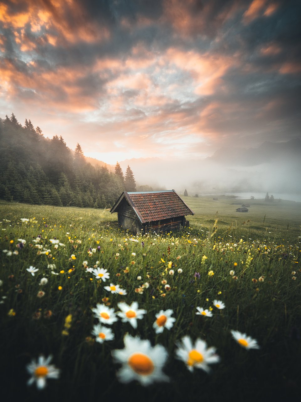 Location: Geroldsee, Bavaria, Germany