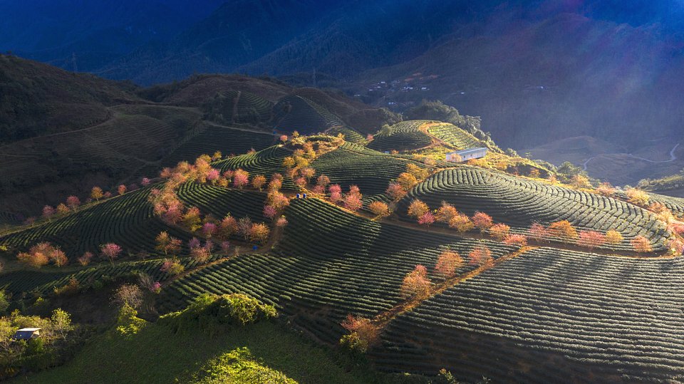 Location: Sapa, Lao Cai, Vietnam