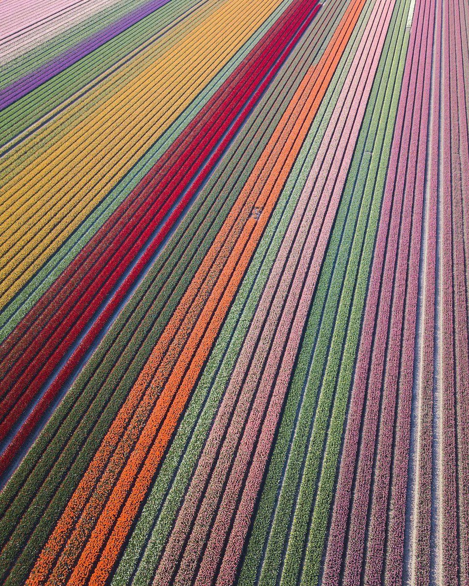 Location: Noordoostpolder, Netherlands