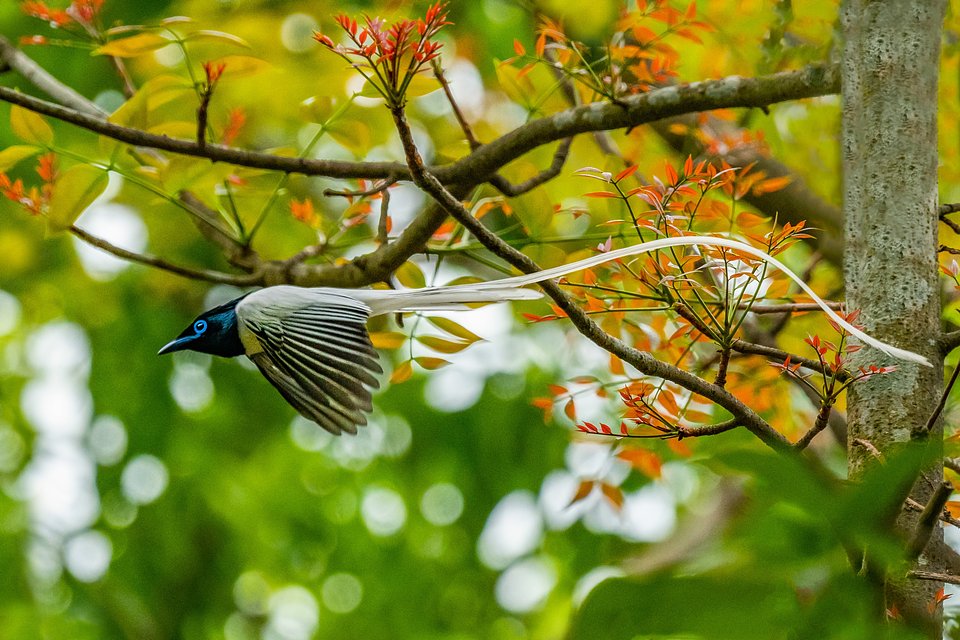 Location: Tanore, Rajshahi, Bangladesh