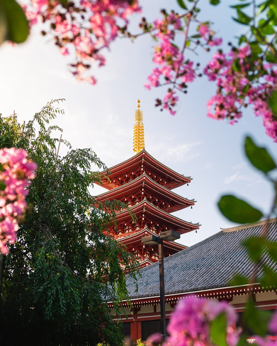 Location: Senso-Ji shrine, Tokyo, Japan