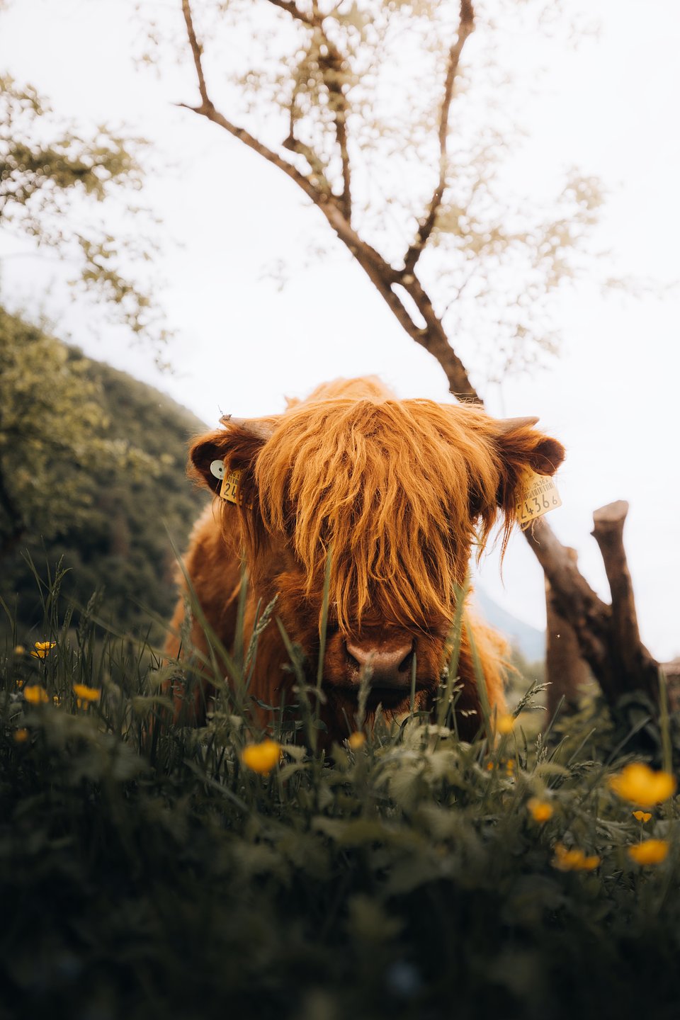 Location: Monthey, Switzerland
