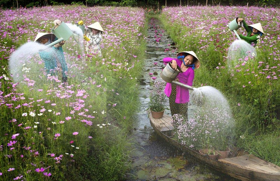 Location: Tp. Mỹ Tho, Việt Nam