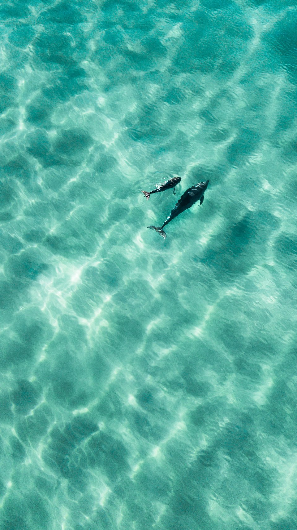 Location: Fingal Head, Australia