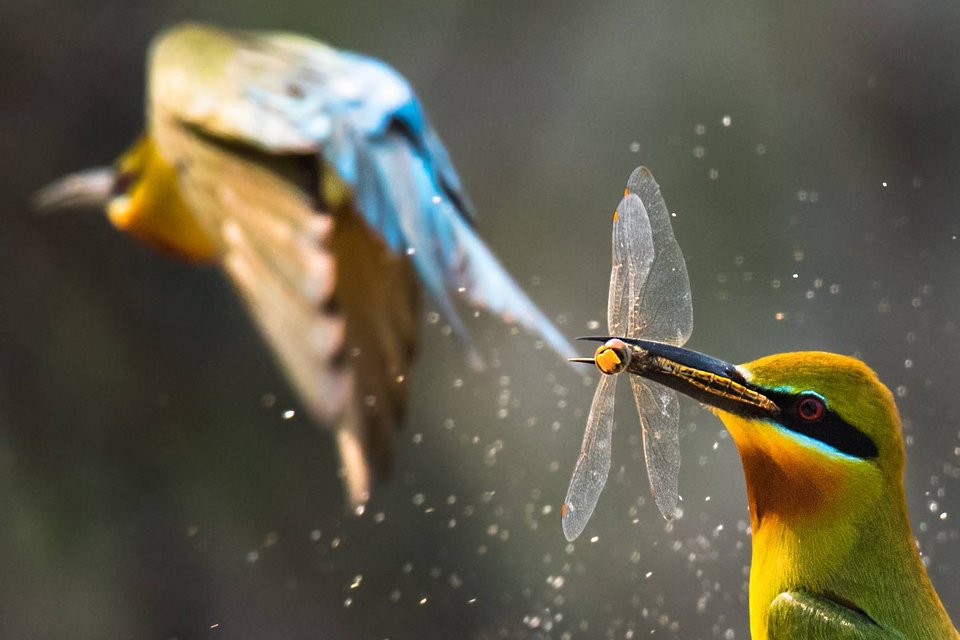 Location: Panchagarh, Bangladesh