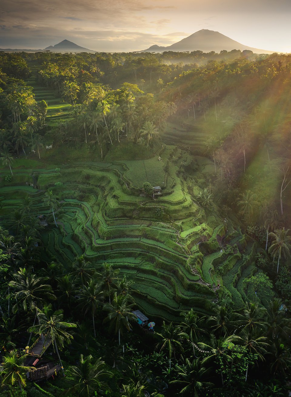Location: Bali, Indonesia