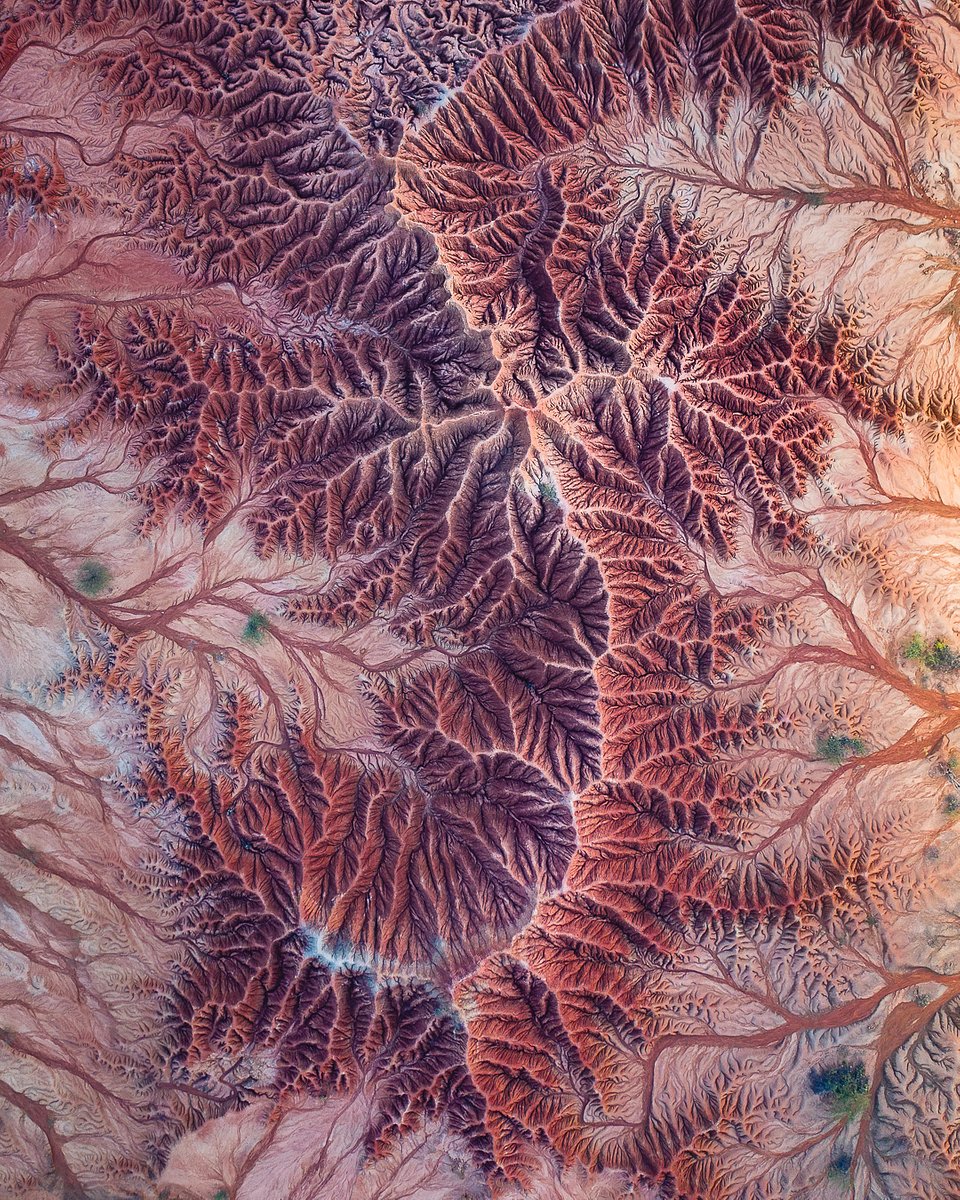 Location: Tatacoa desert, Colombia