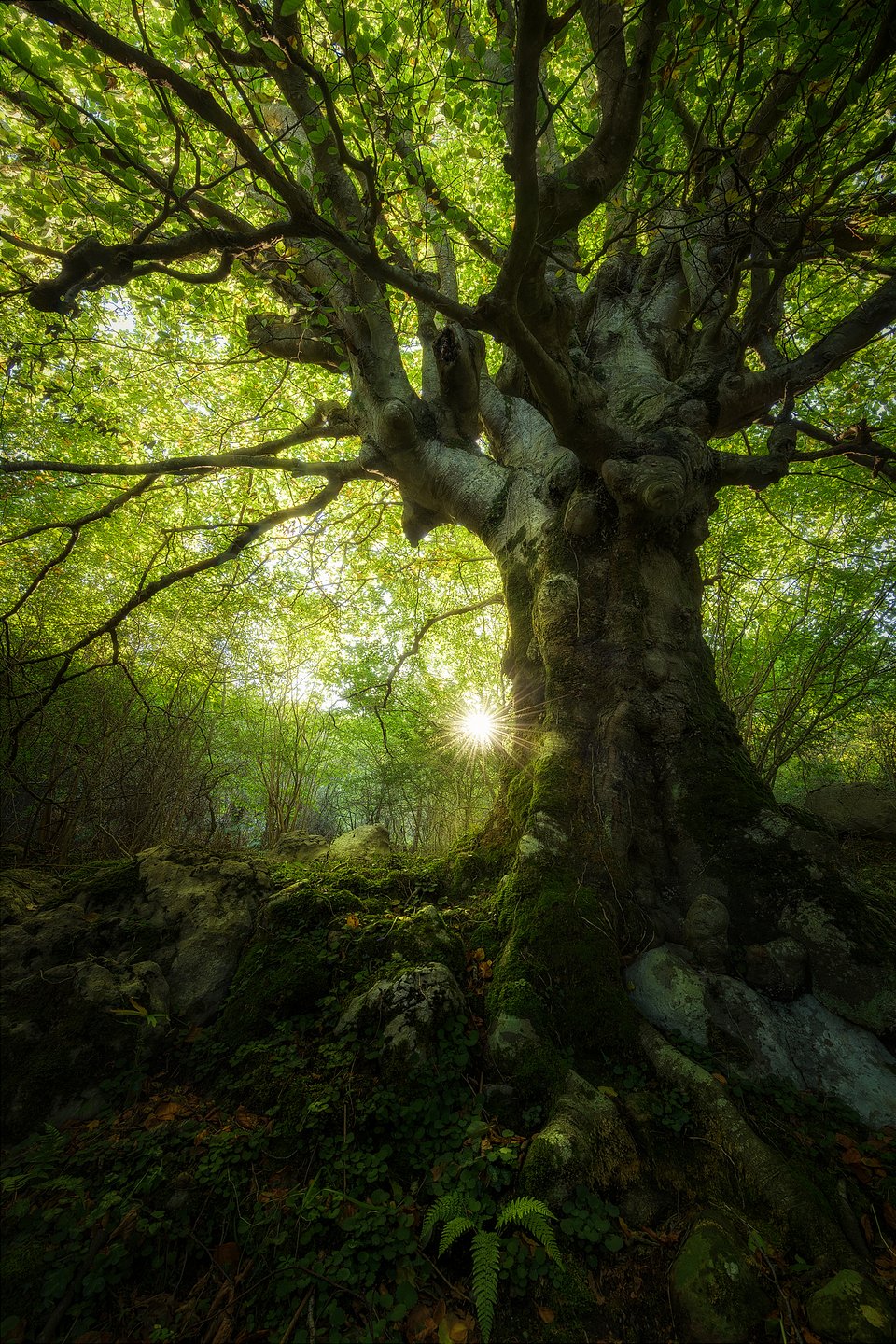 Location: Cantabria, Spain