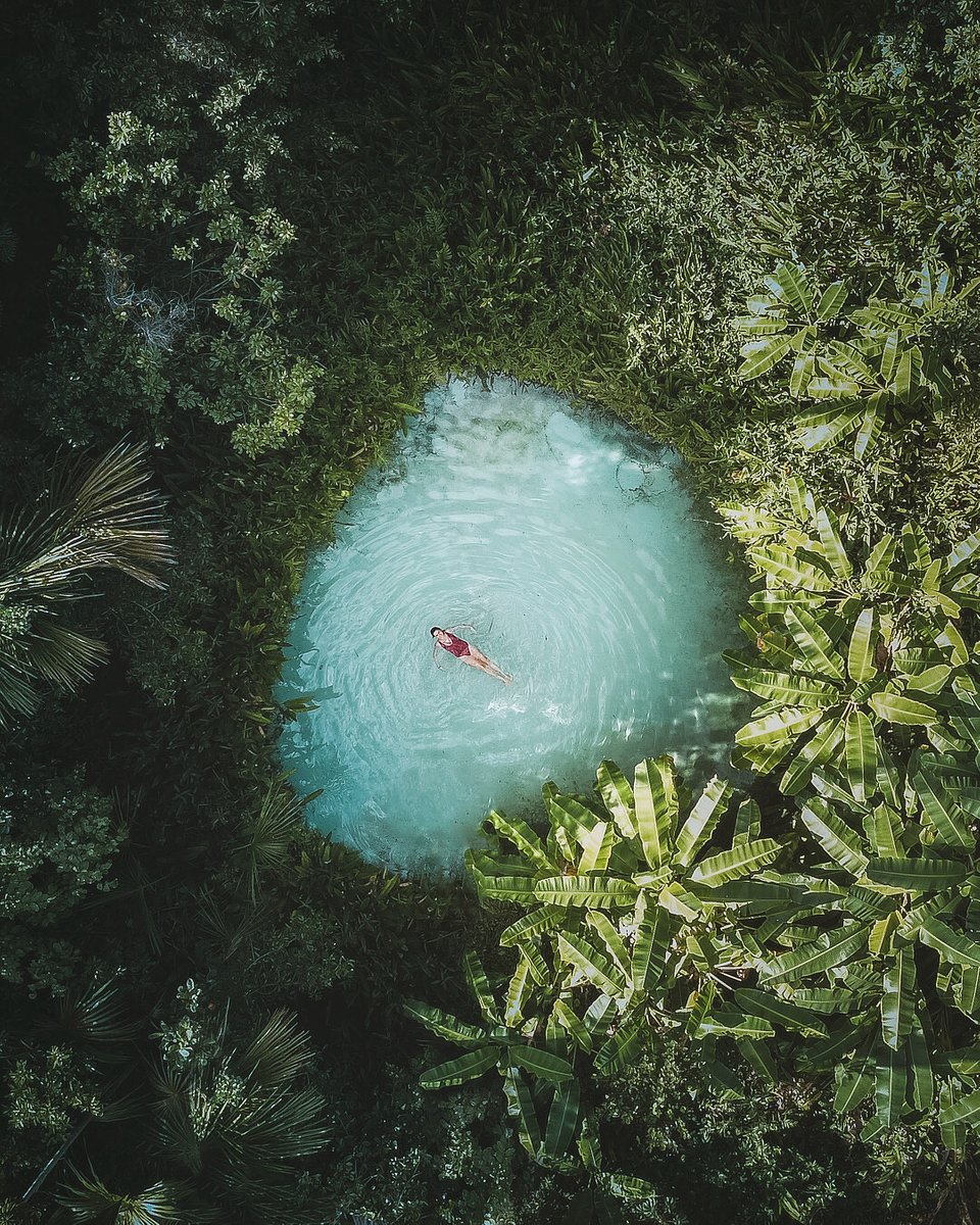 Location: Jalapão State Park, Brazil