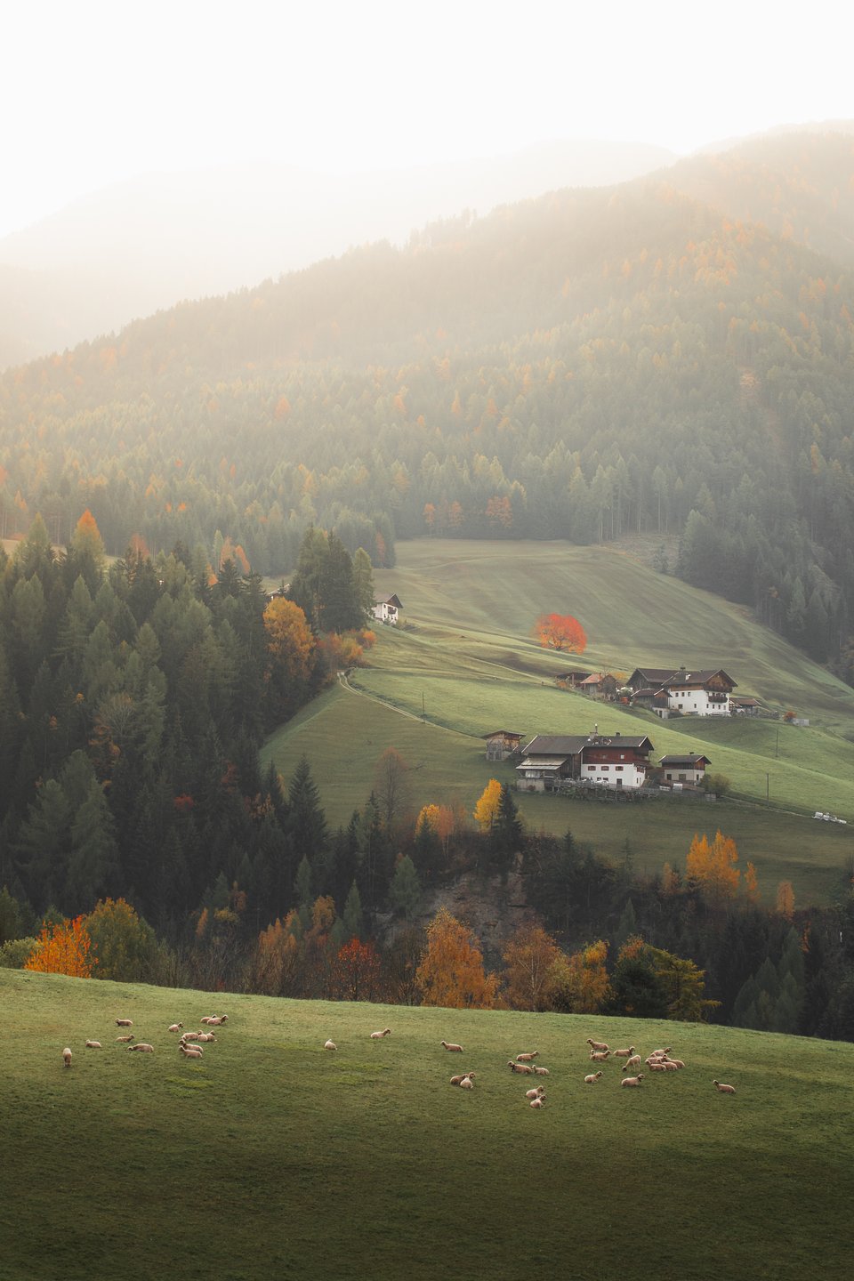 Location: Val di Funes, South Tyrol, Italy