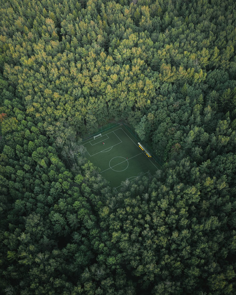 Location: Meshchersky Park, Moscow, Russia