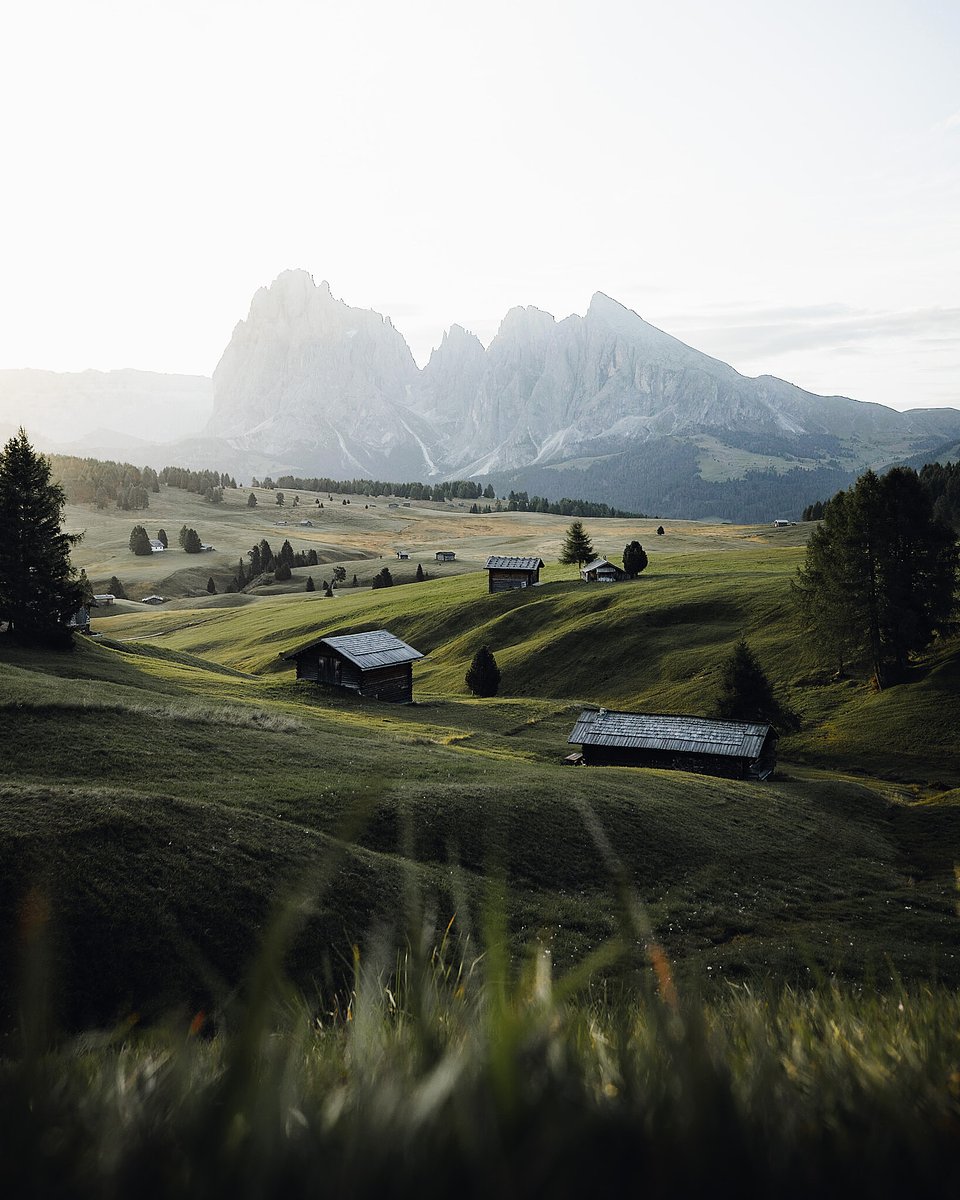 Location: Alpe Di Siusi, Dolomites, Italy