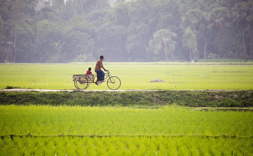 Location: Bogura, Bangladesh