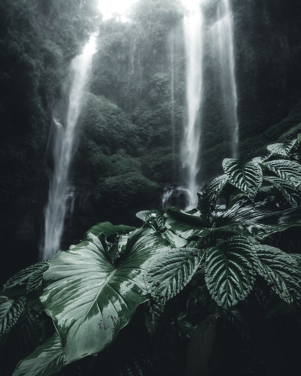 Location: Sekumpul waterfall, Bali, Indonesia