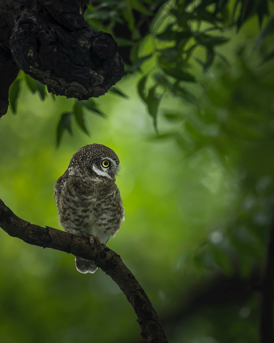 Location: Surat, Gujarat, India