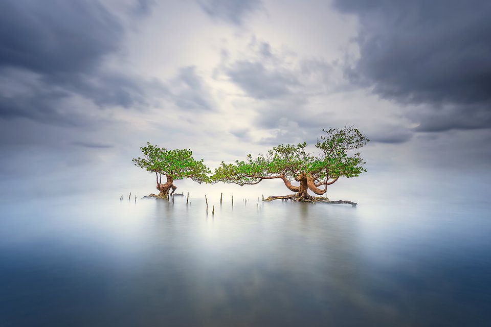 Location: Indonesia