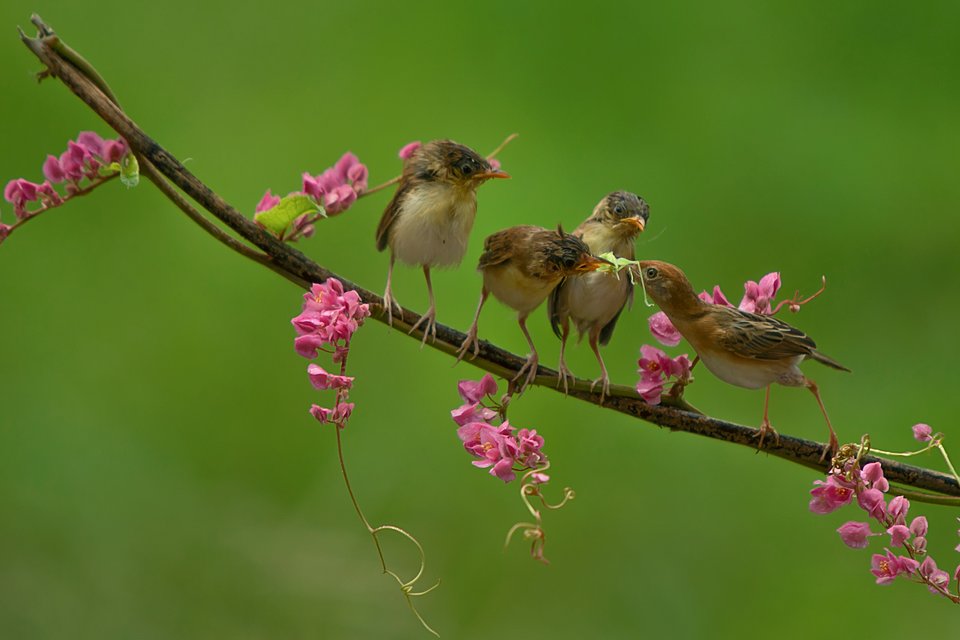 Location: Jakarta, Indonesia