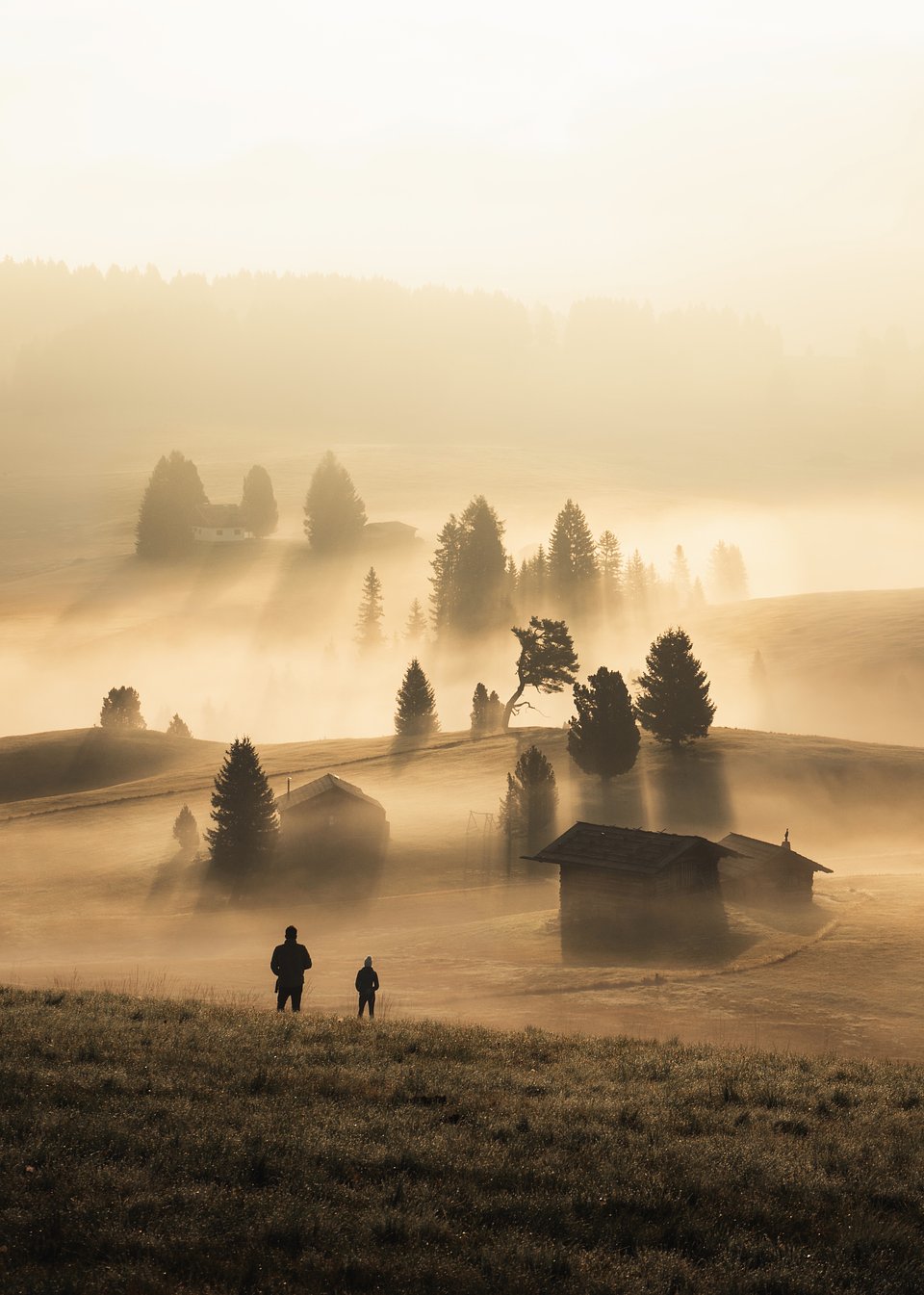 Location: Alpe di Siusi / Seiser Alm