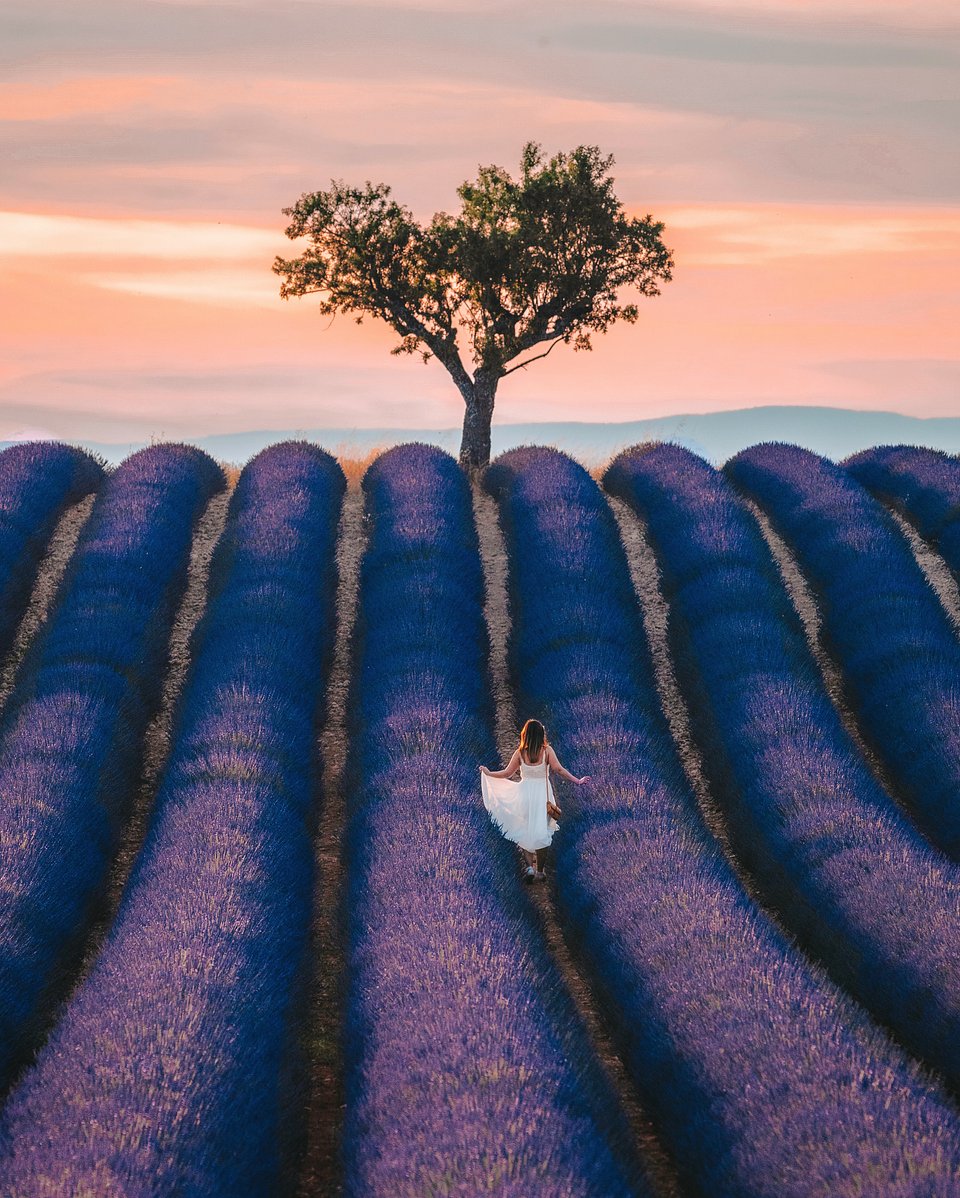 Location: Valensole, Provence, France