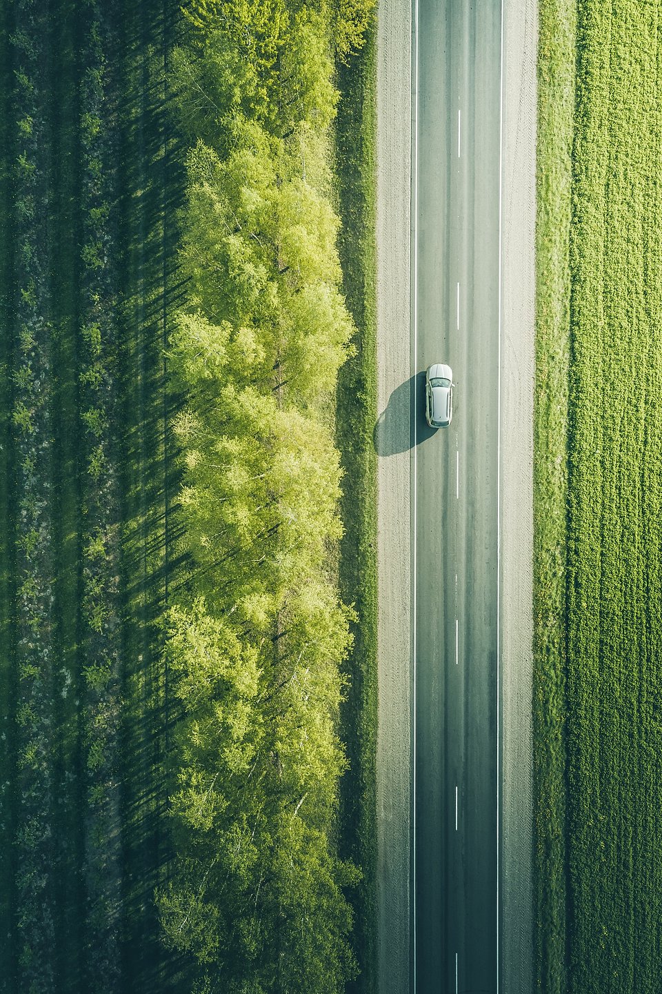 Location: Belarus