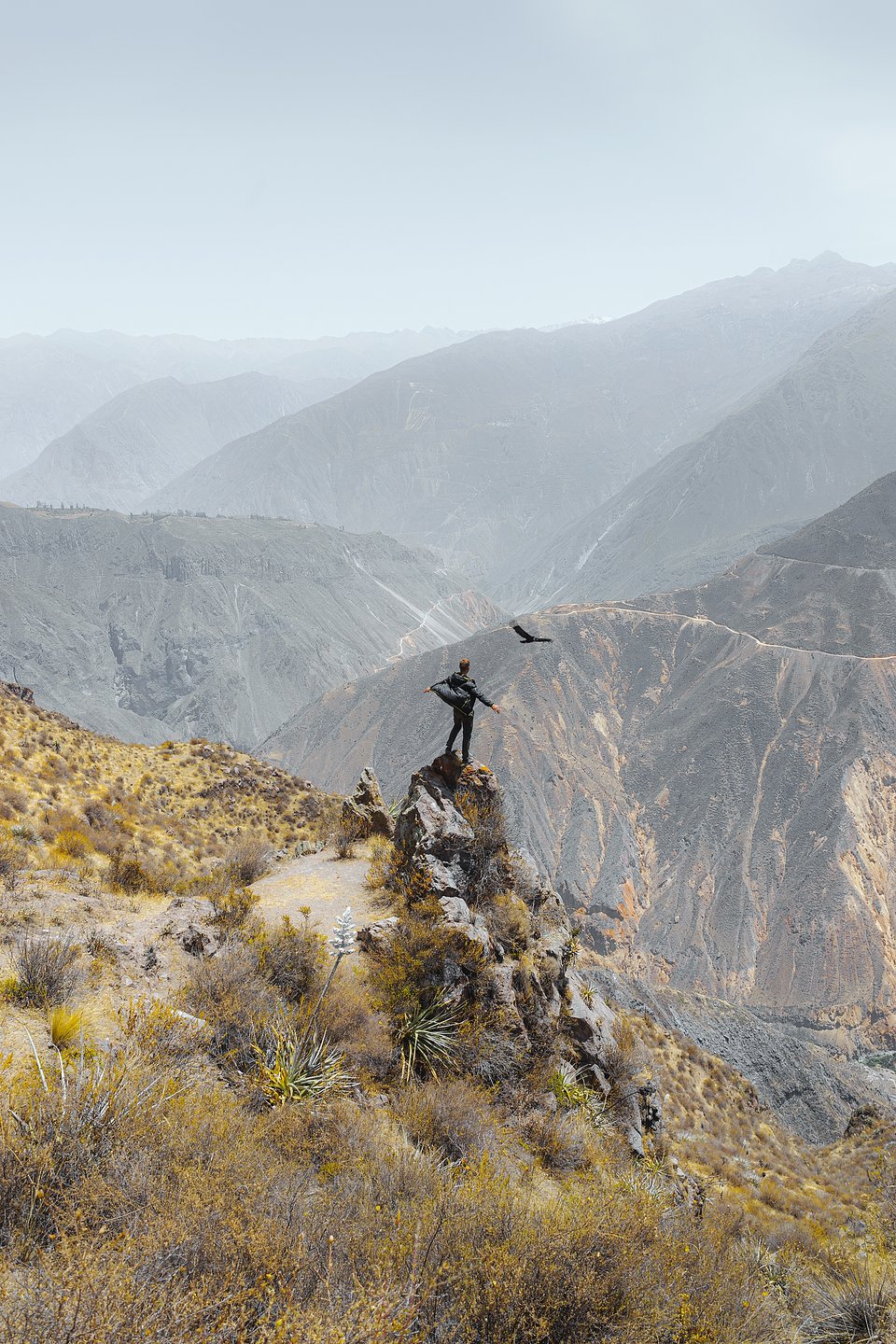 Location: Colca Canyon, Peru