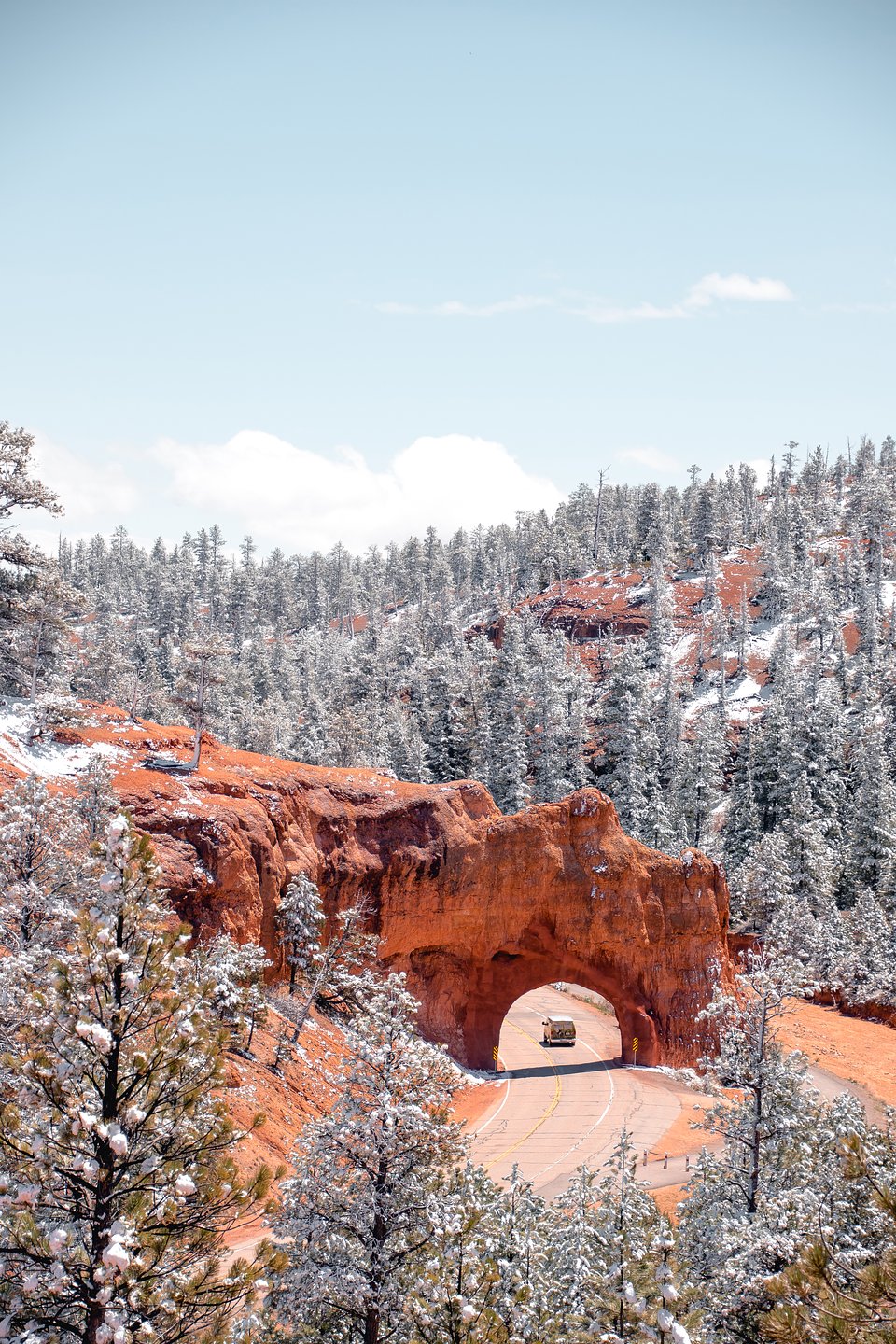 Location: Red Canyon, Utah, USA