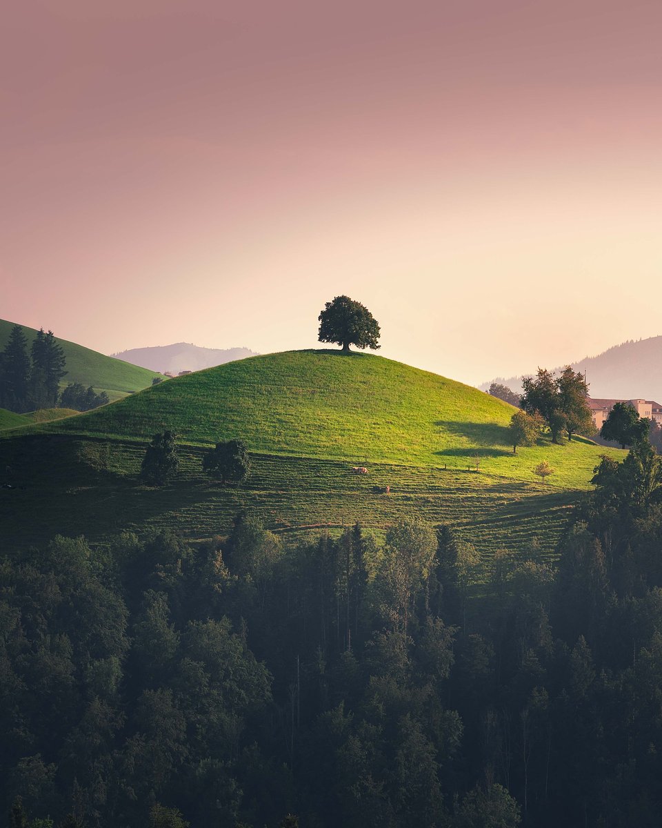 Location: Eastern Switzerland