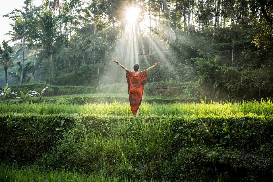 Location: Tegalalang village, Bali, Indonesia