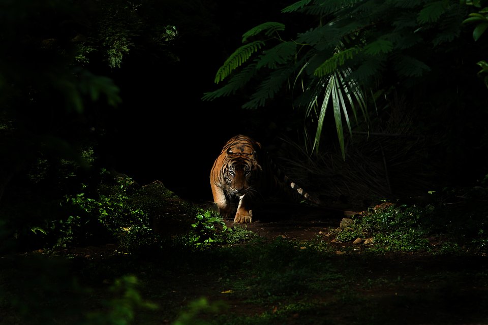 Location: Jakarta, Indonesia