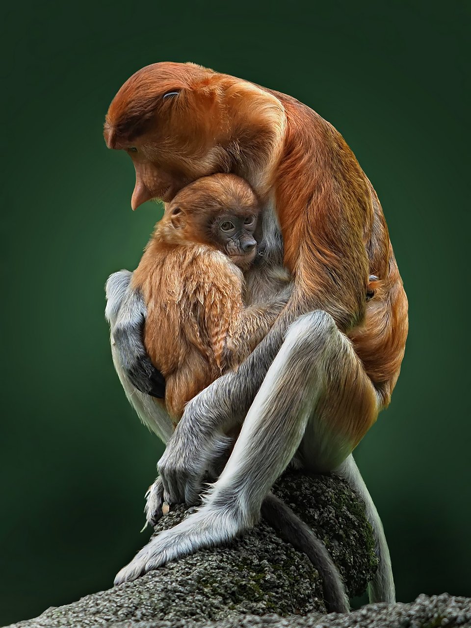 Location: Cisarua, Indonesia