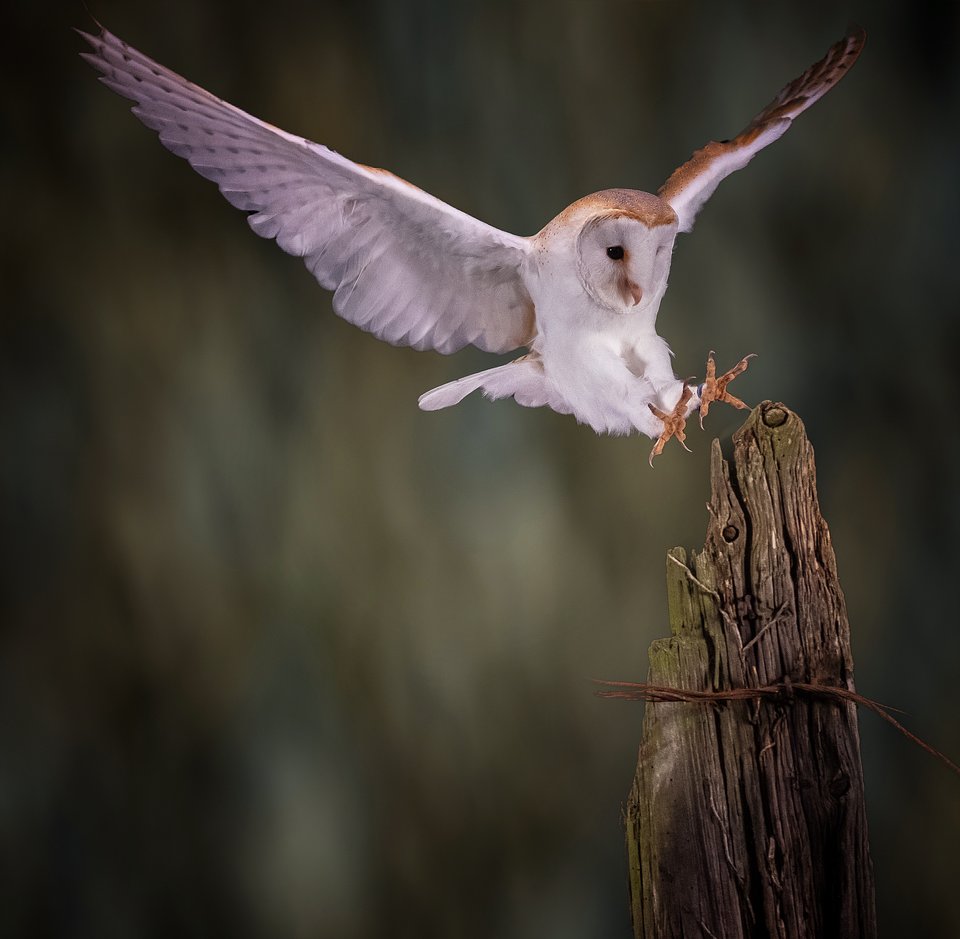 Location: Northumberland, UK