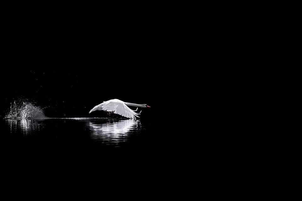 Location: Dobbiaco Lake, Italy