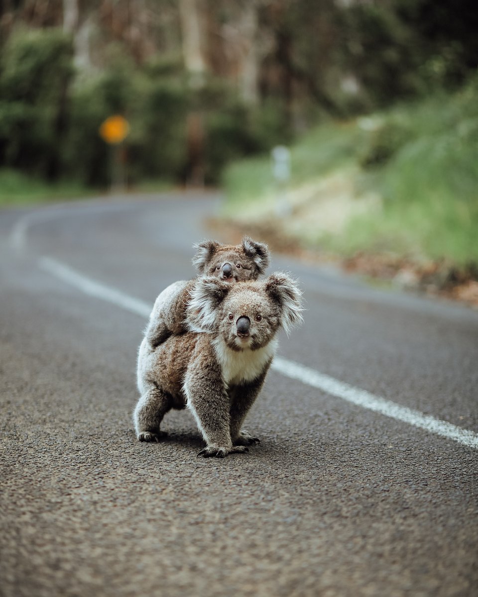 Location: Australia