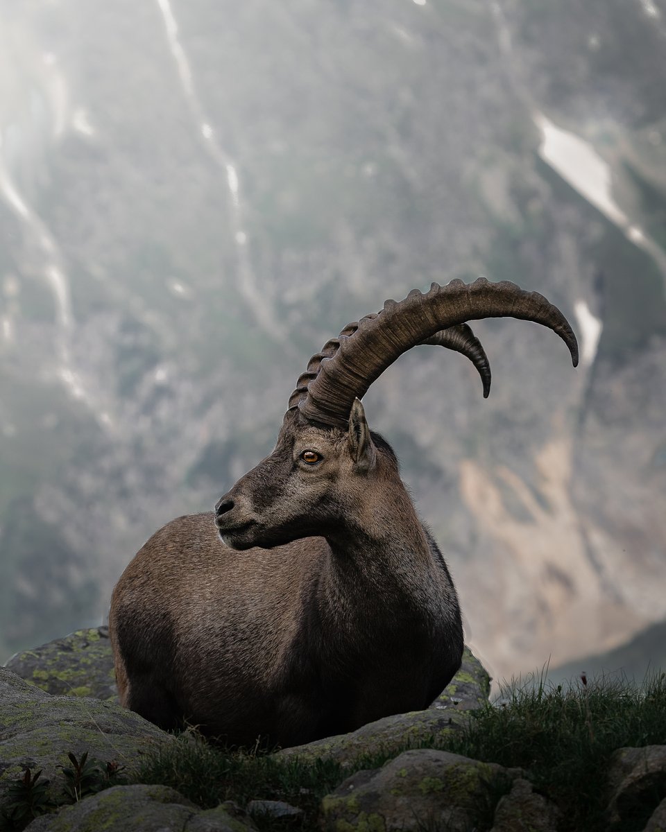 Location: Chamonix, France