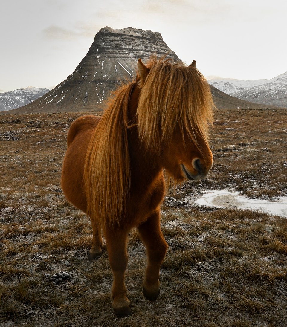 Location: Kirkjufell, Iceland