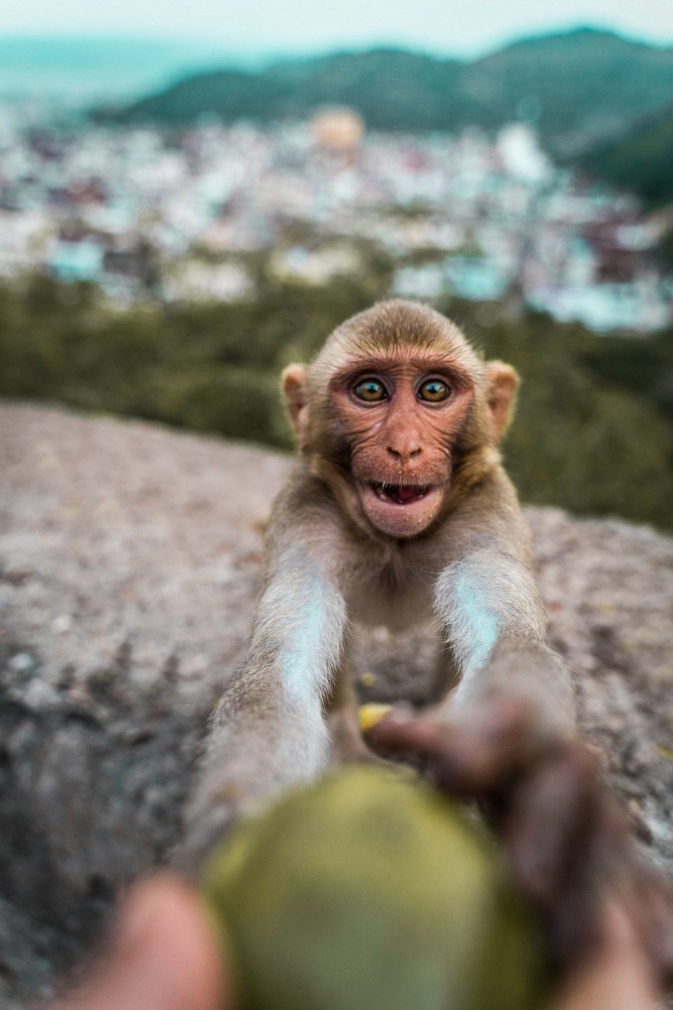 Location: Jaipur, India