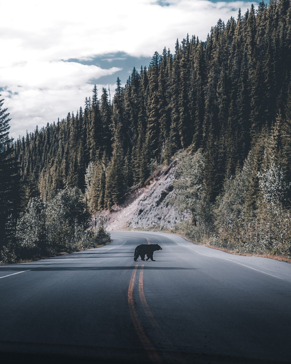 Location: Division No. 15, Canada