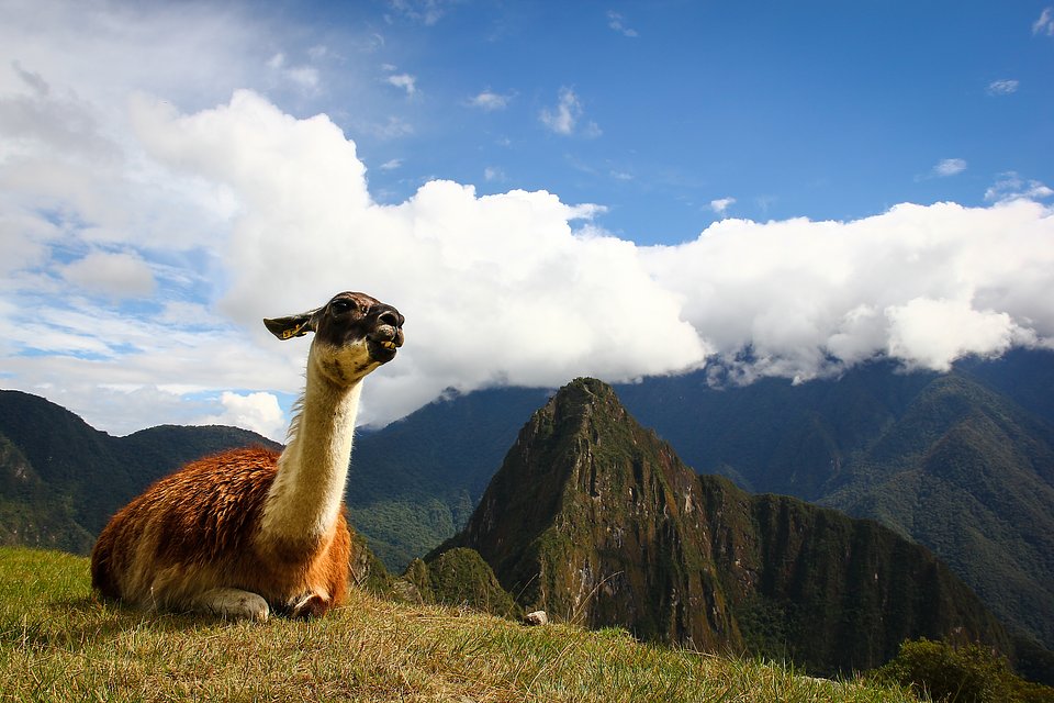Location: Machu Picchu, Peru