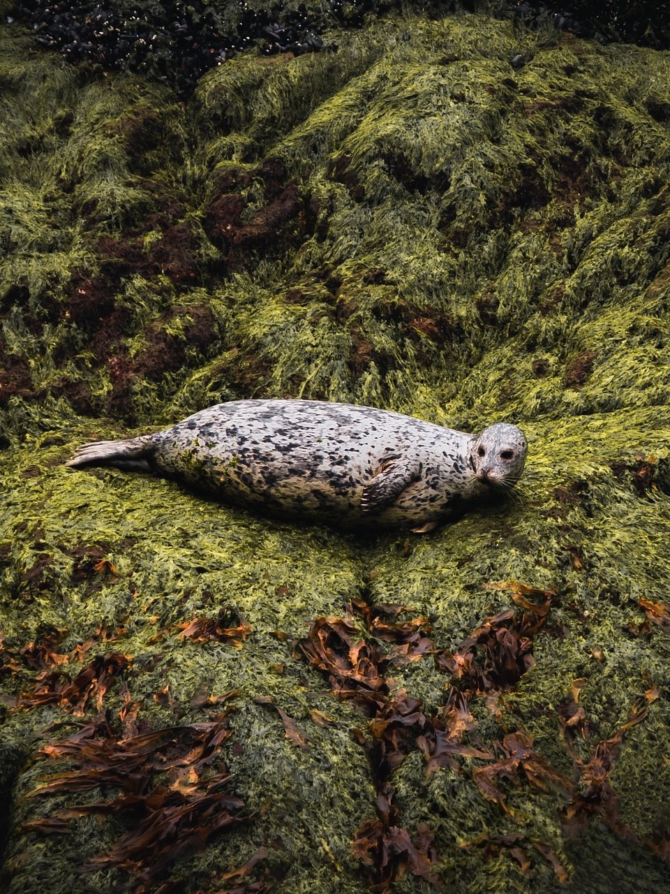 Location: Vancouver, Canada